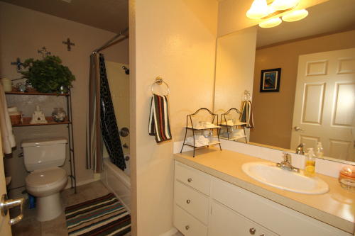 Lower level fireplace